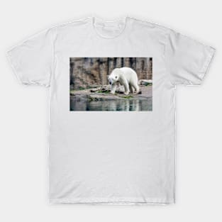 Polar bear walking by lake T-Shirt